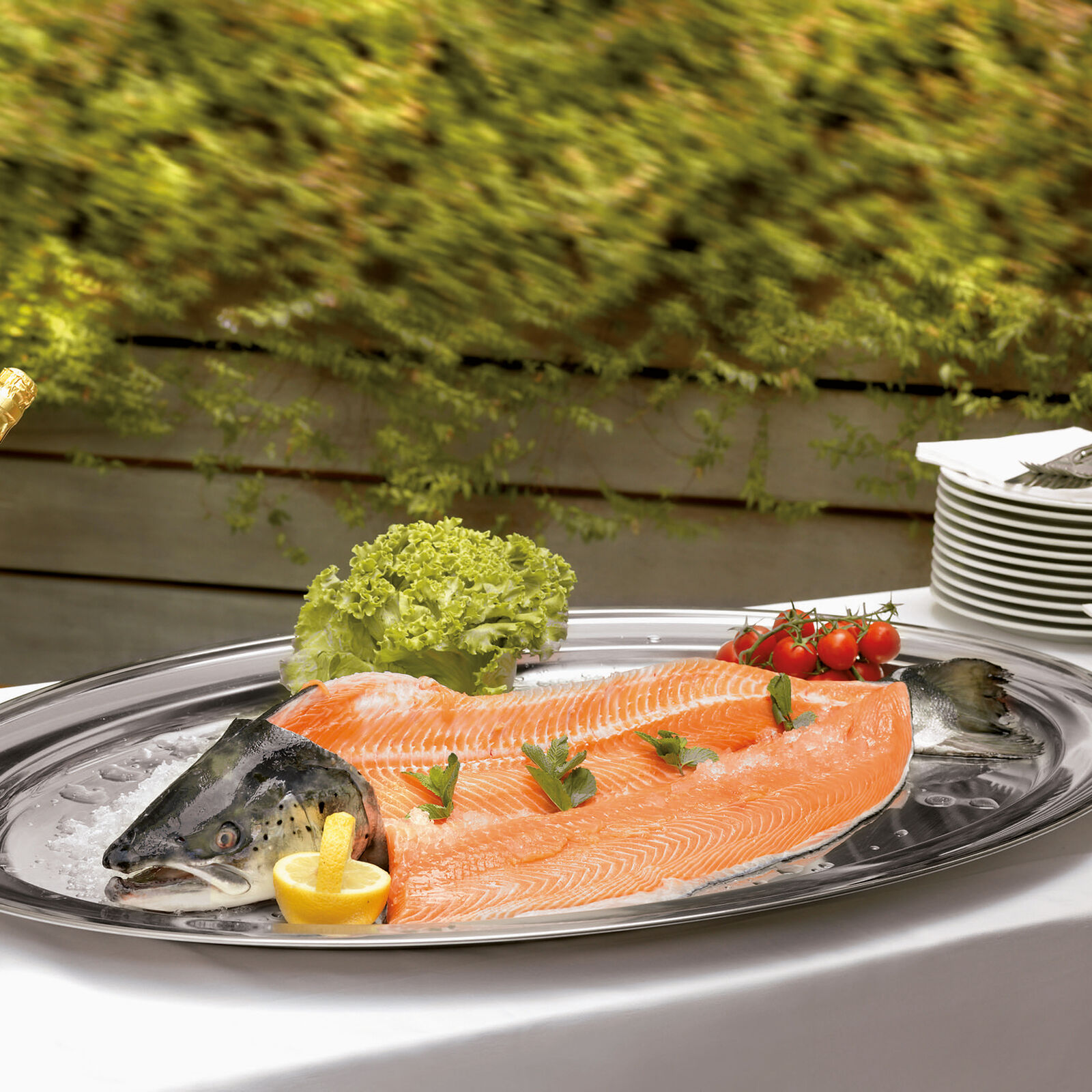 Tray  image number null