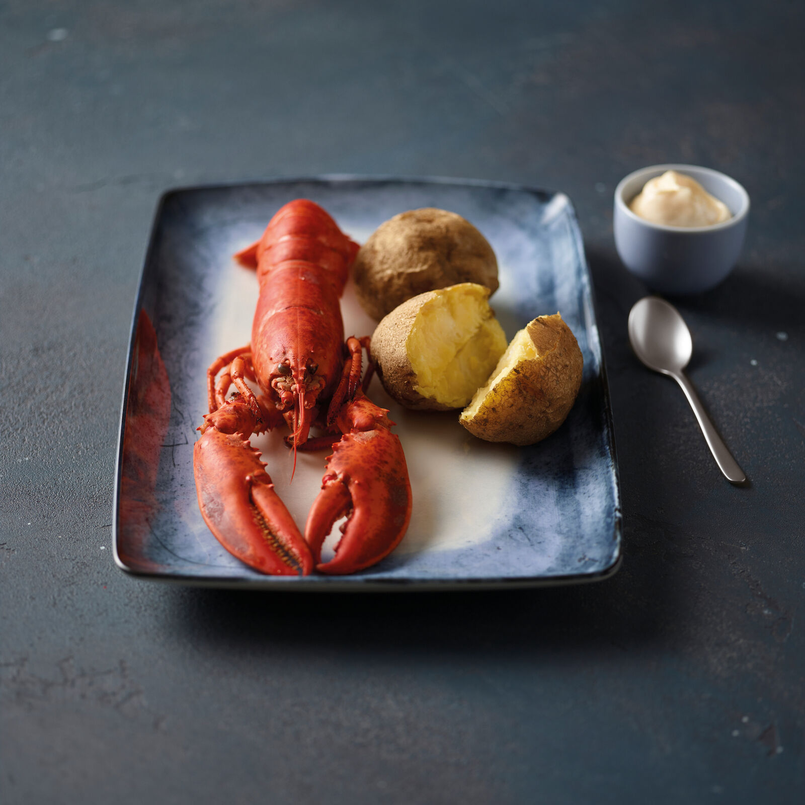 Plate flat  image number null