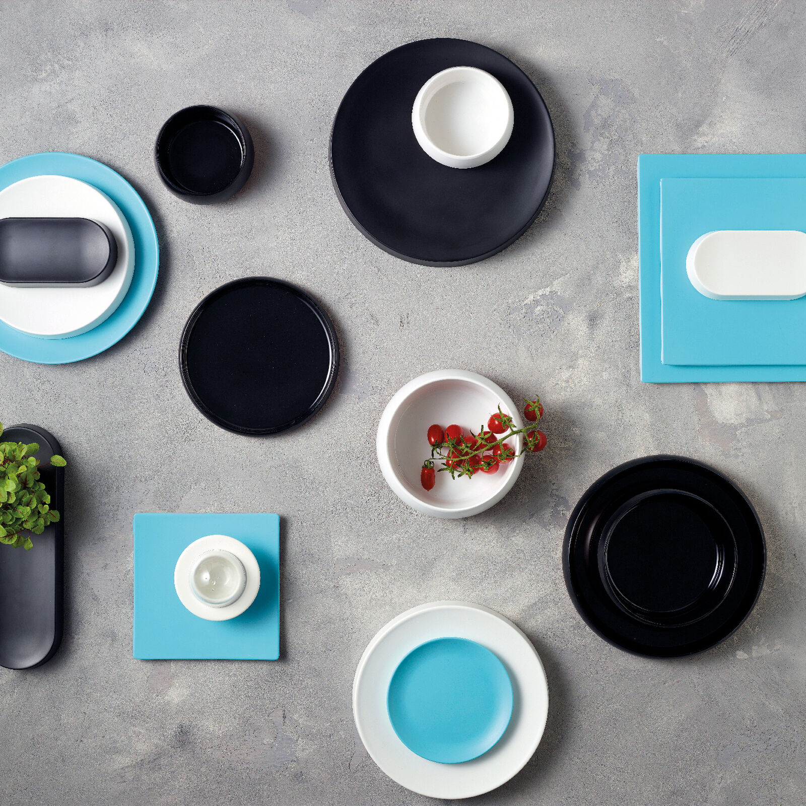 Coppetta  image number null