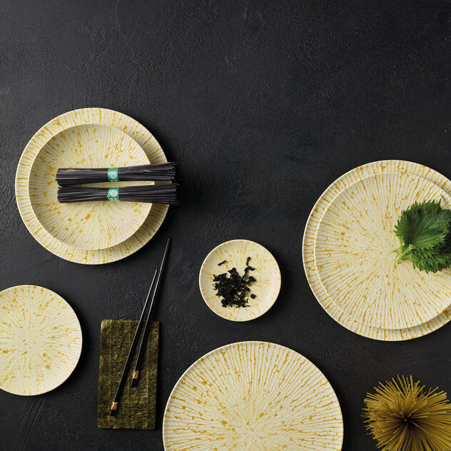 Plate flat  image number 2