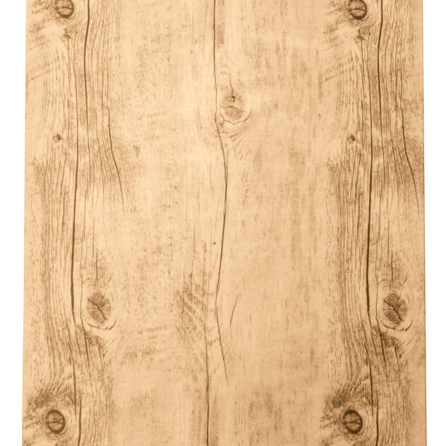 Tray  image number 1