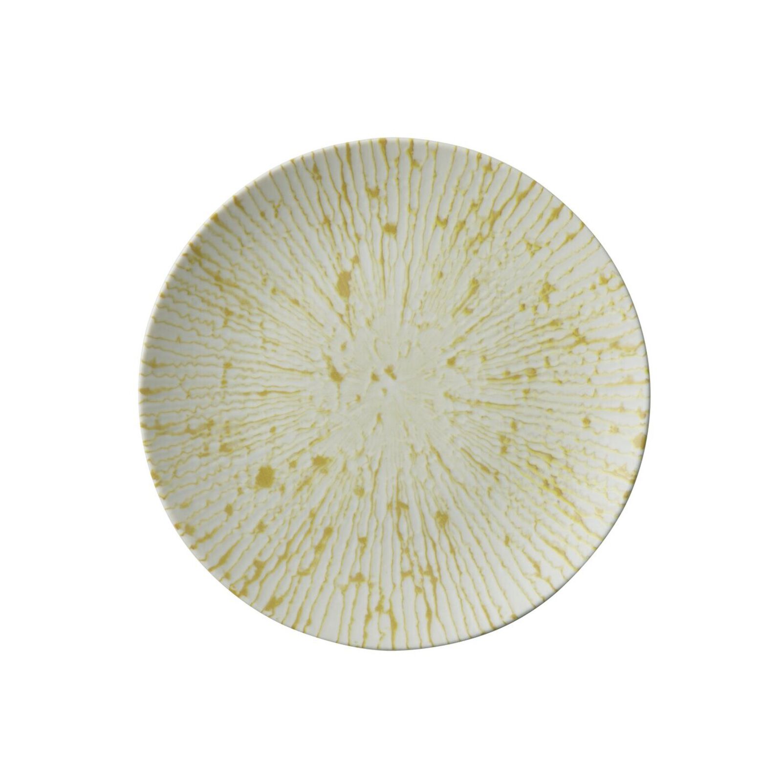 Plate flat  image number null