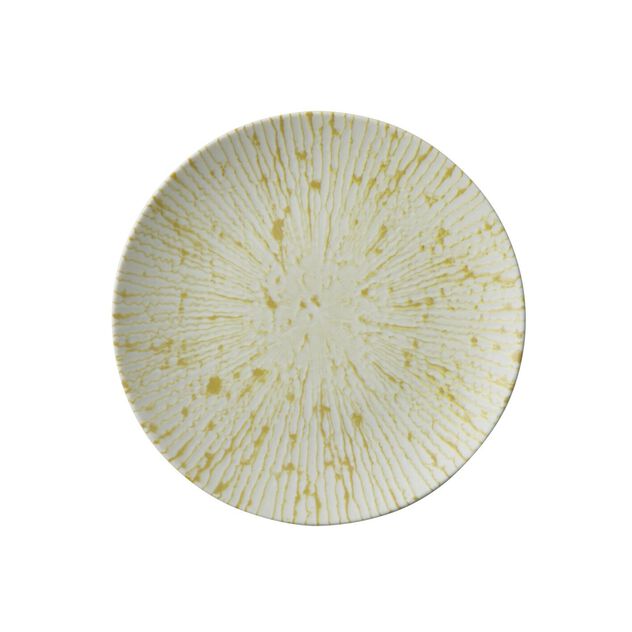 Plate flat  image number 0