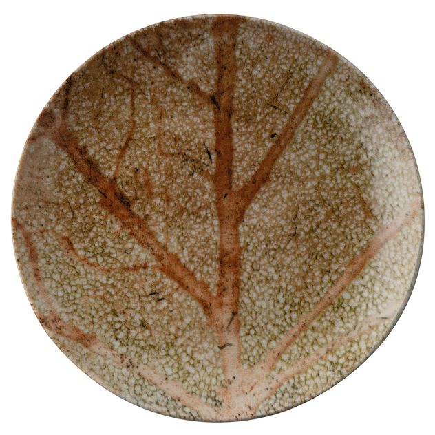 Plate flat  image number 0