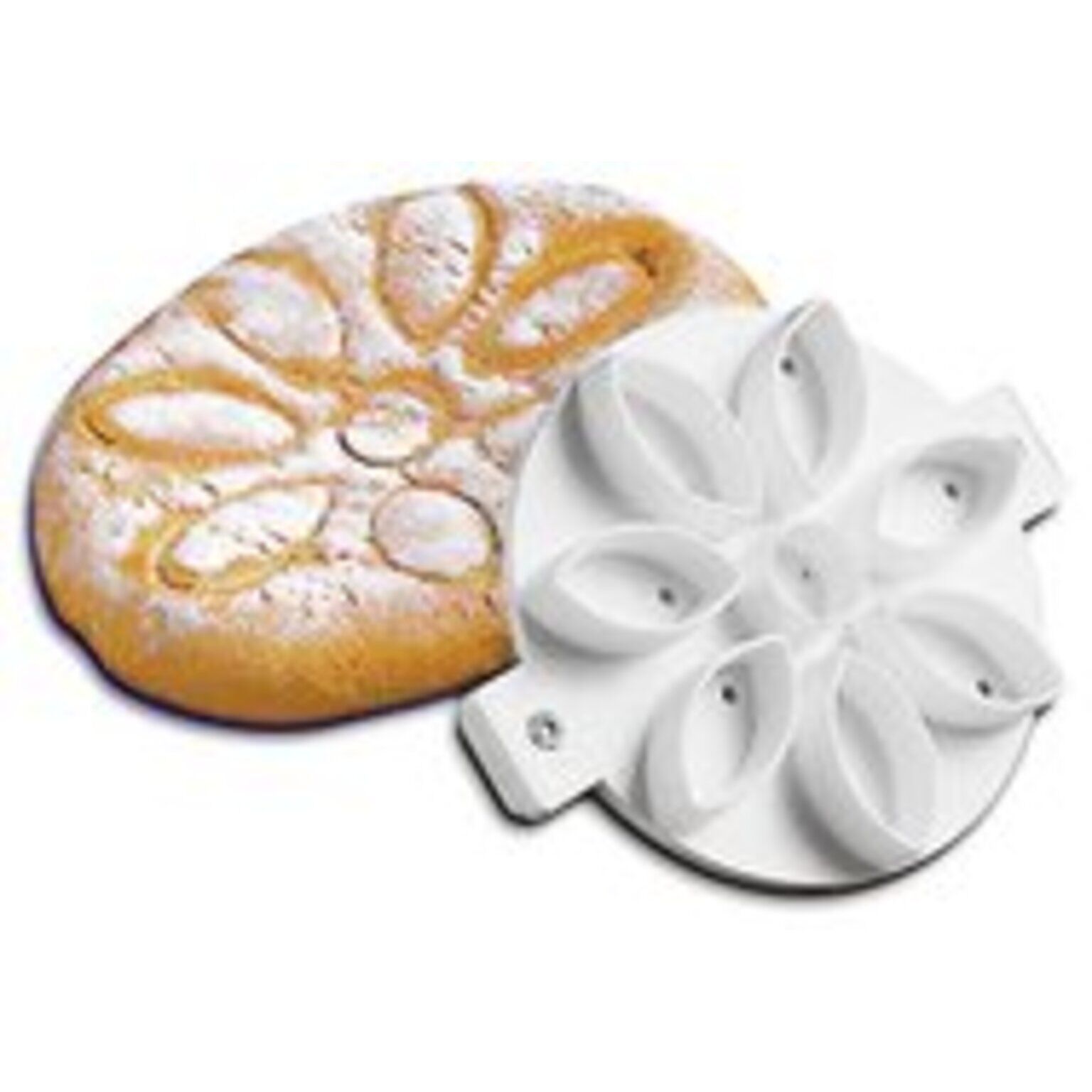 Bread mold daisy