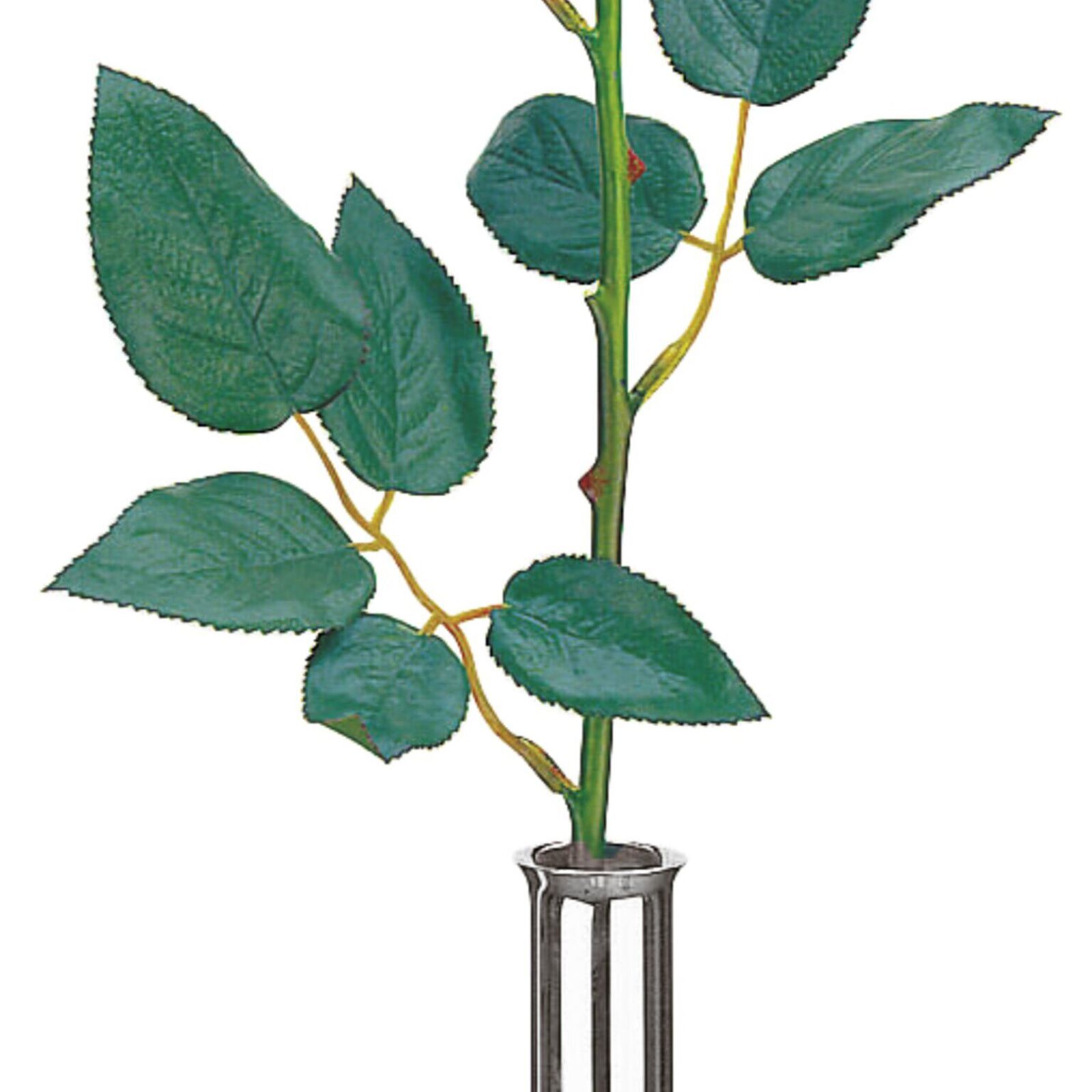 Vase  image number null