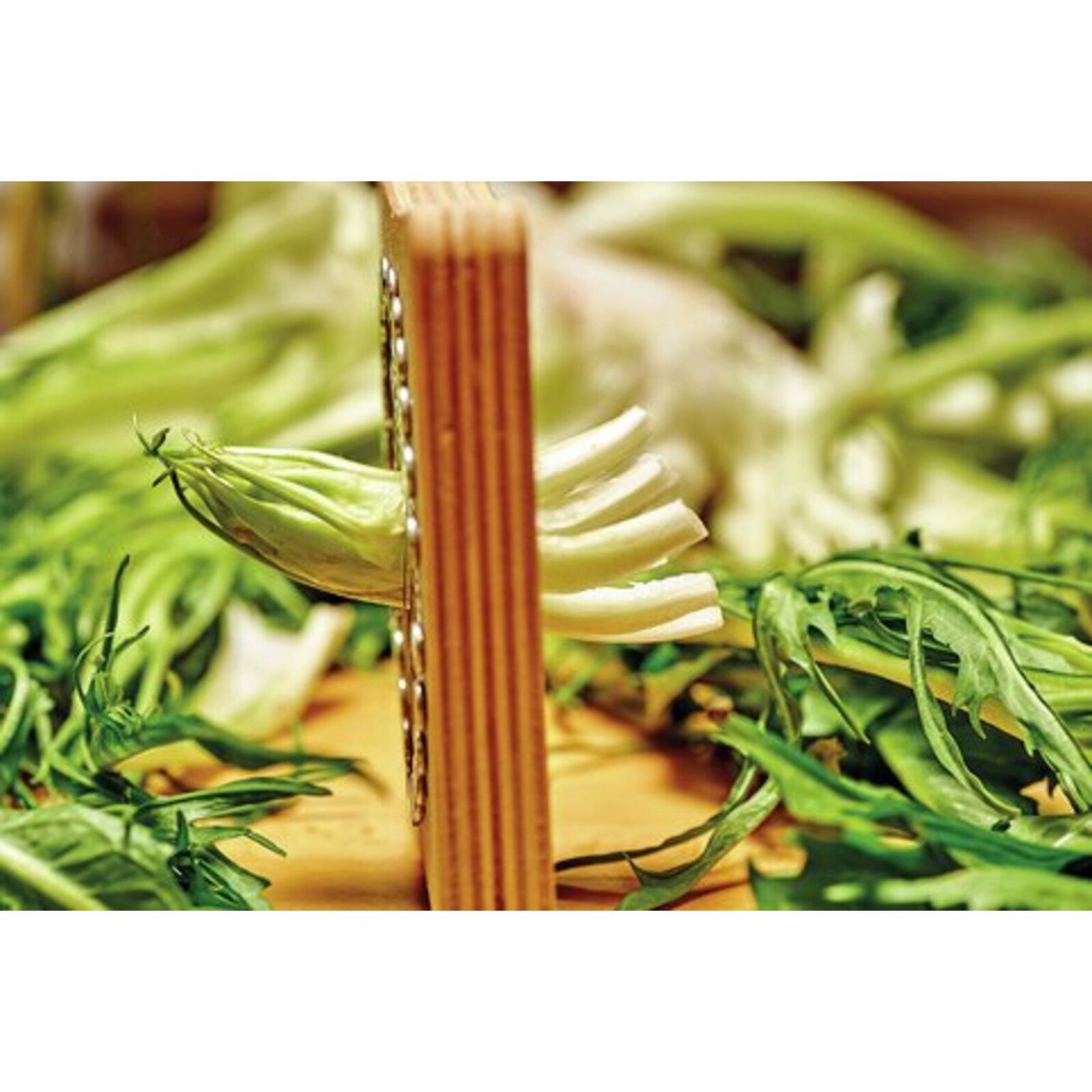 Cutter/corer for chicory image number null