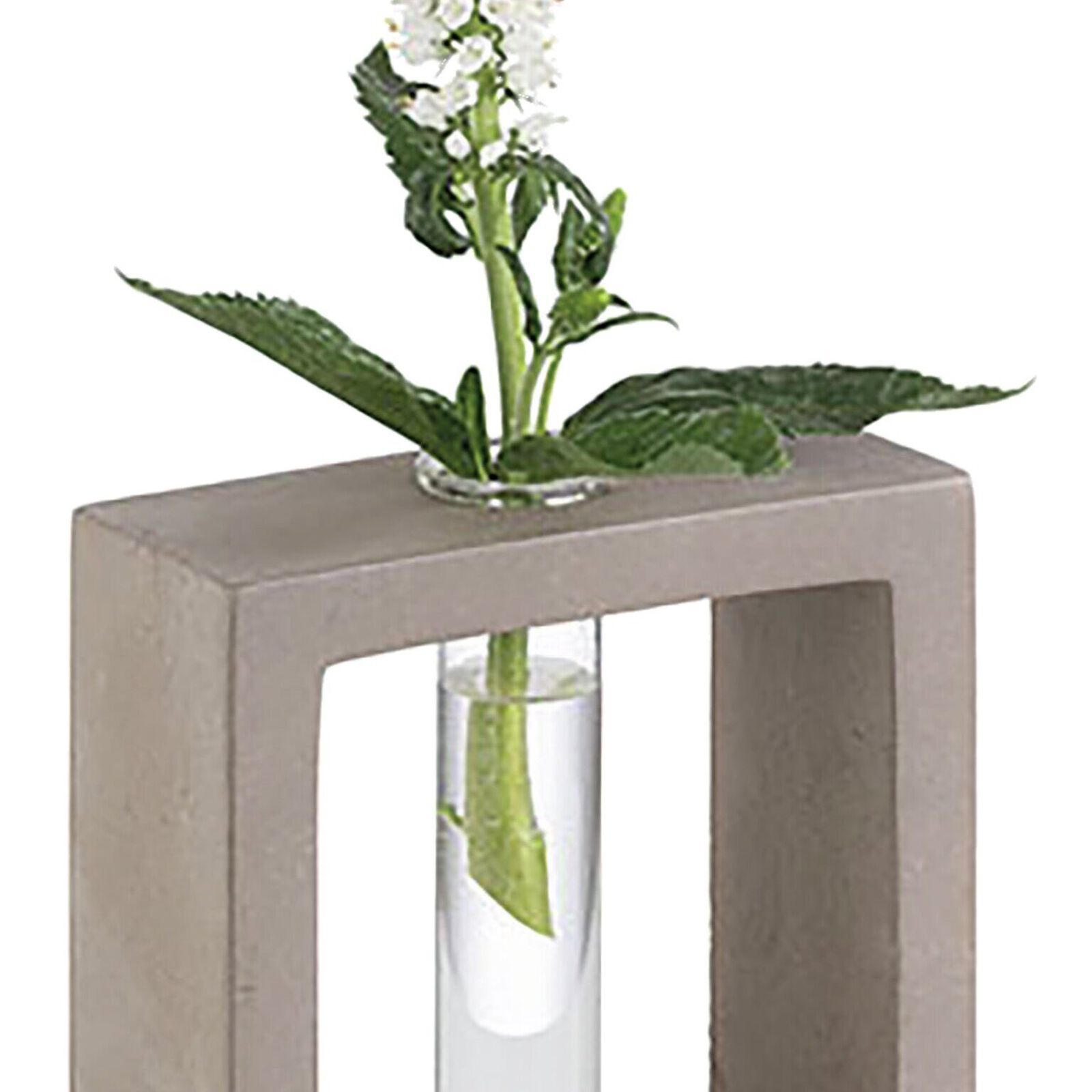 Vaso  image number null