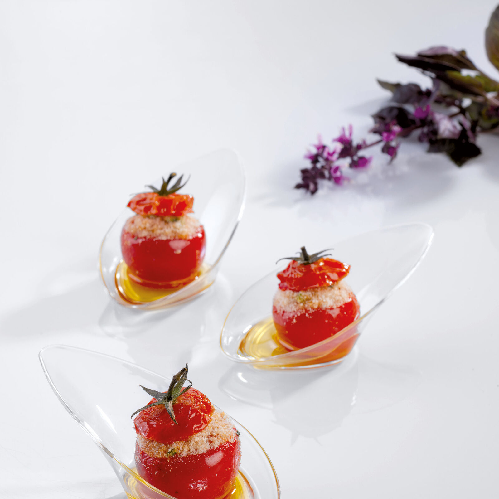 Ciotolina  image number null