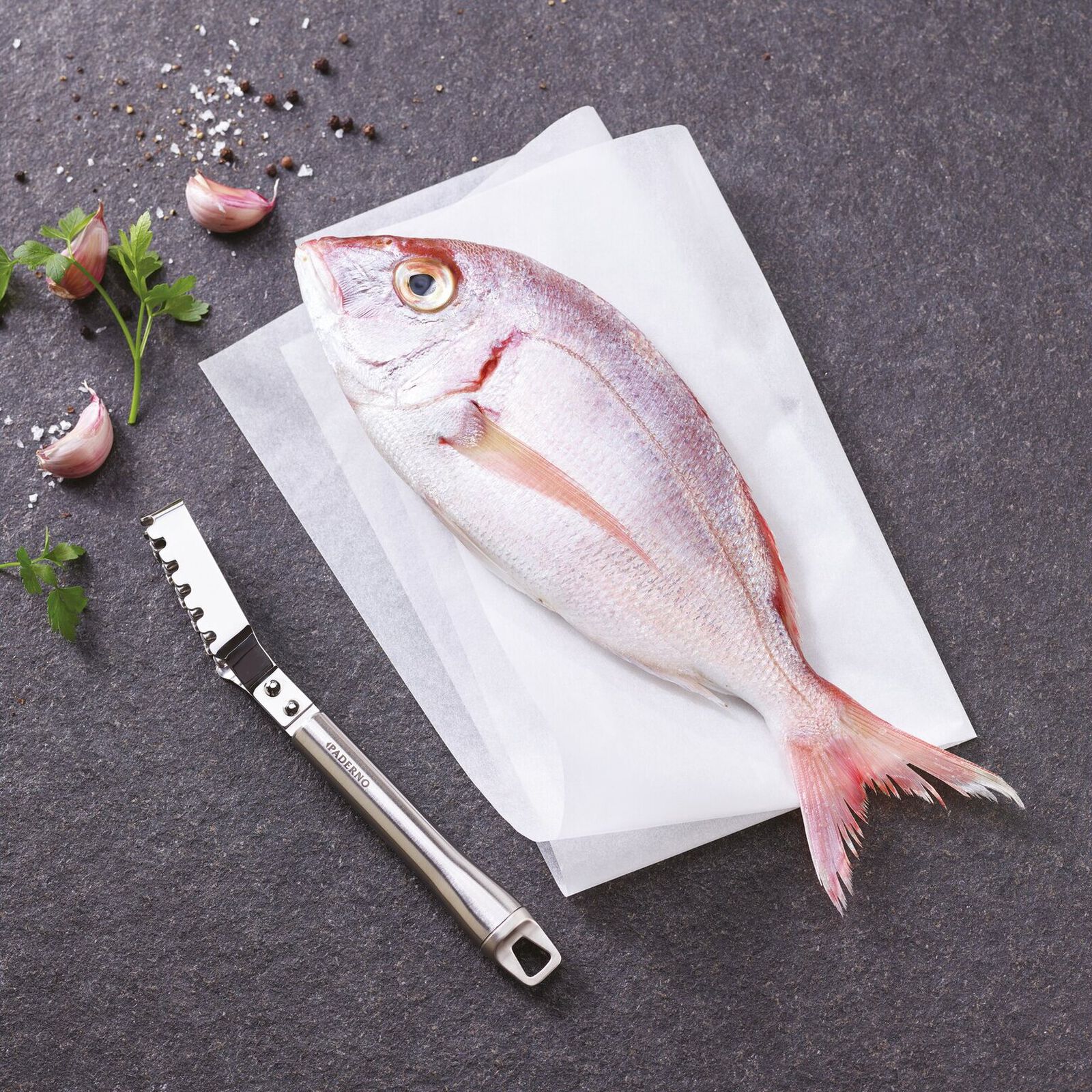 Squamapesce  image number null