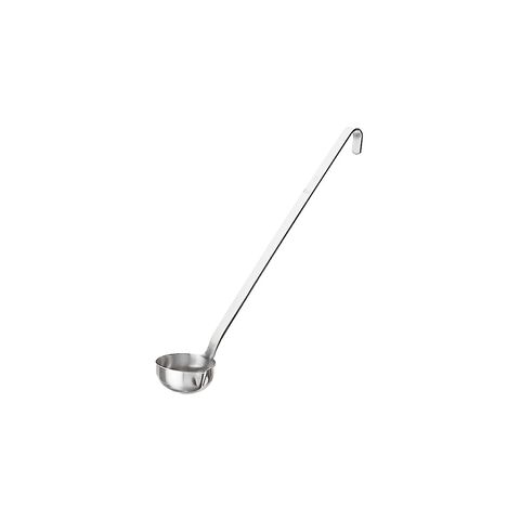 Ladle with spout