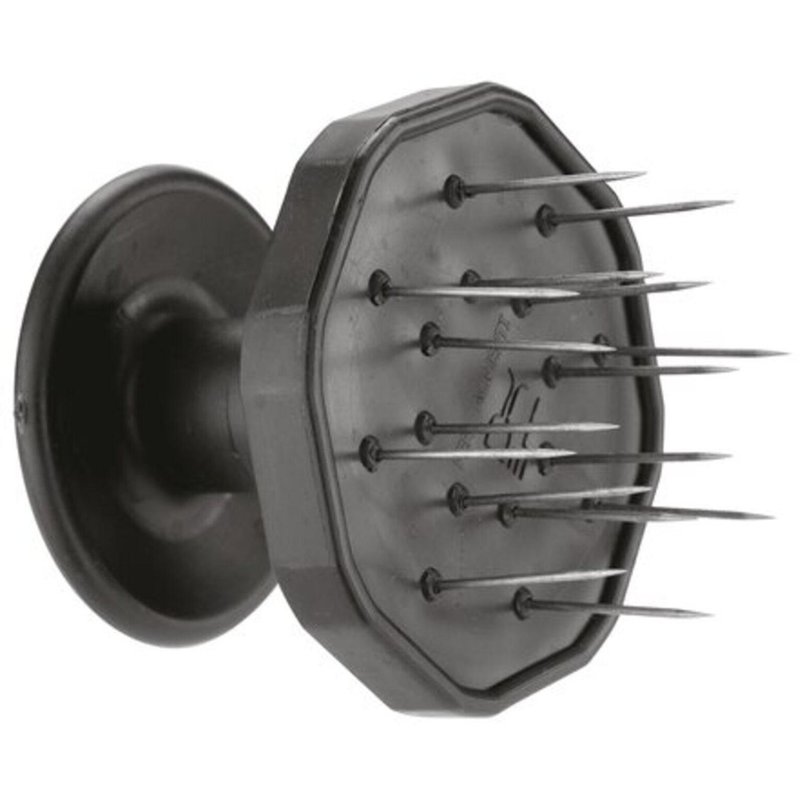 Pungisalame  image number null