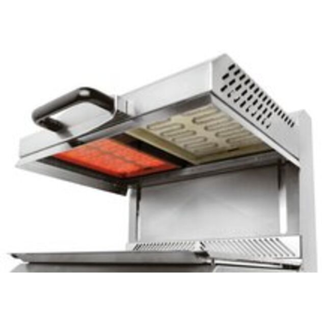 Salamandra  image number 1