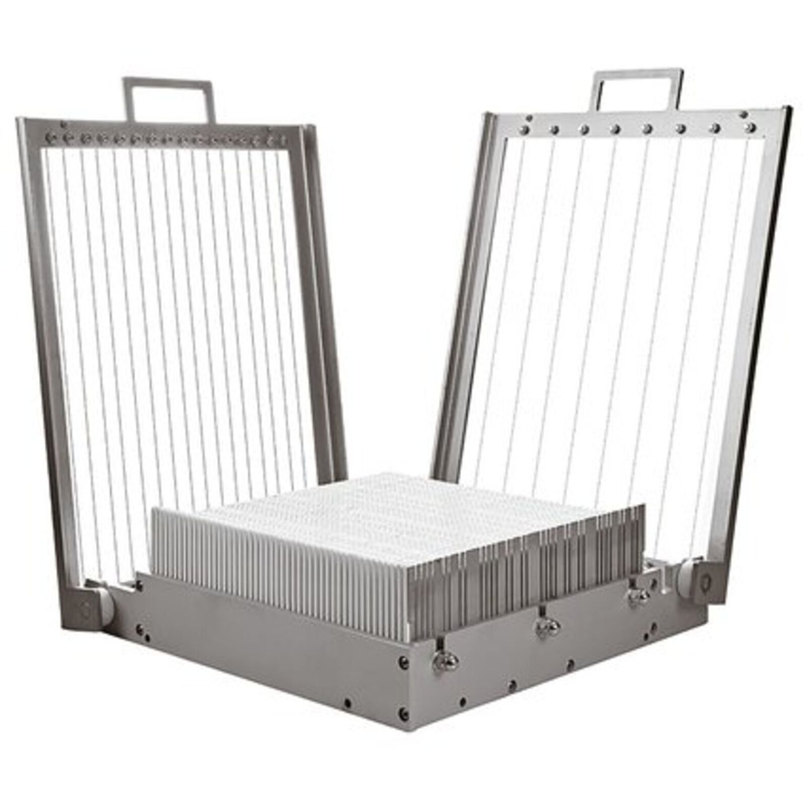 Chitarra doppia image number null