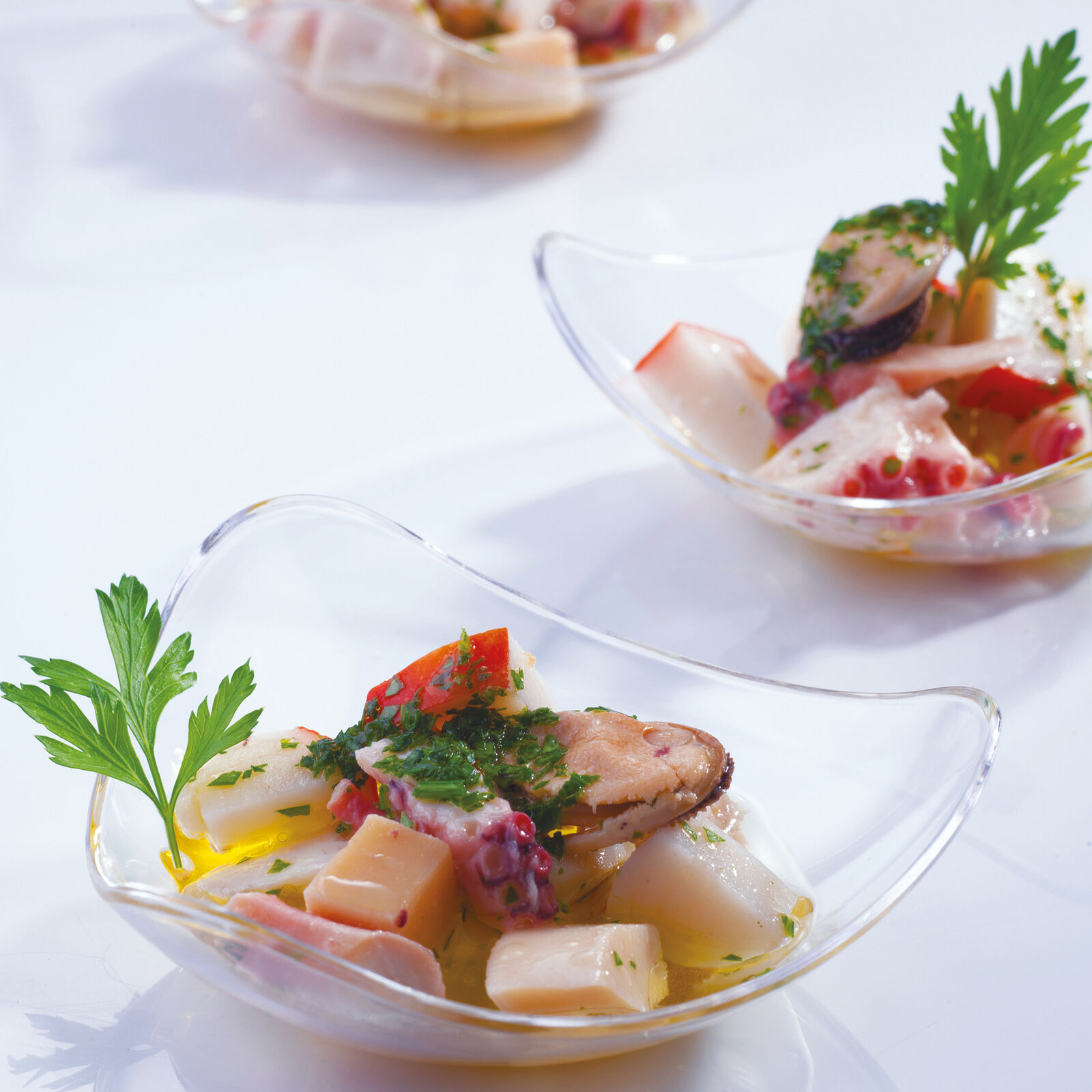 Ciotolina  image number null