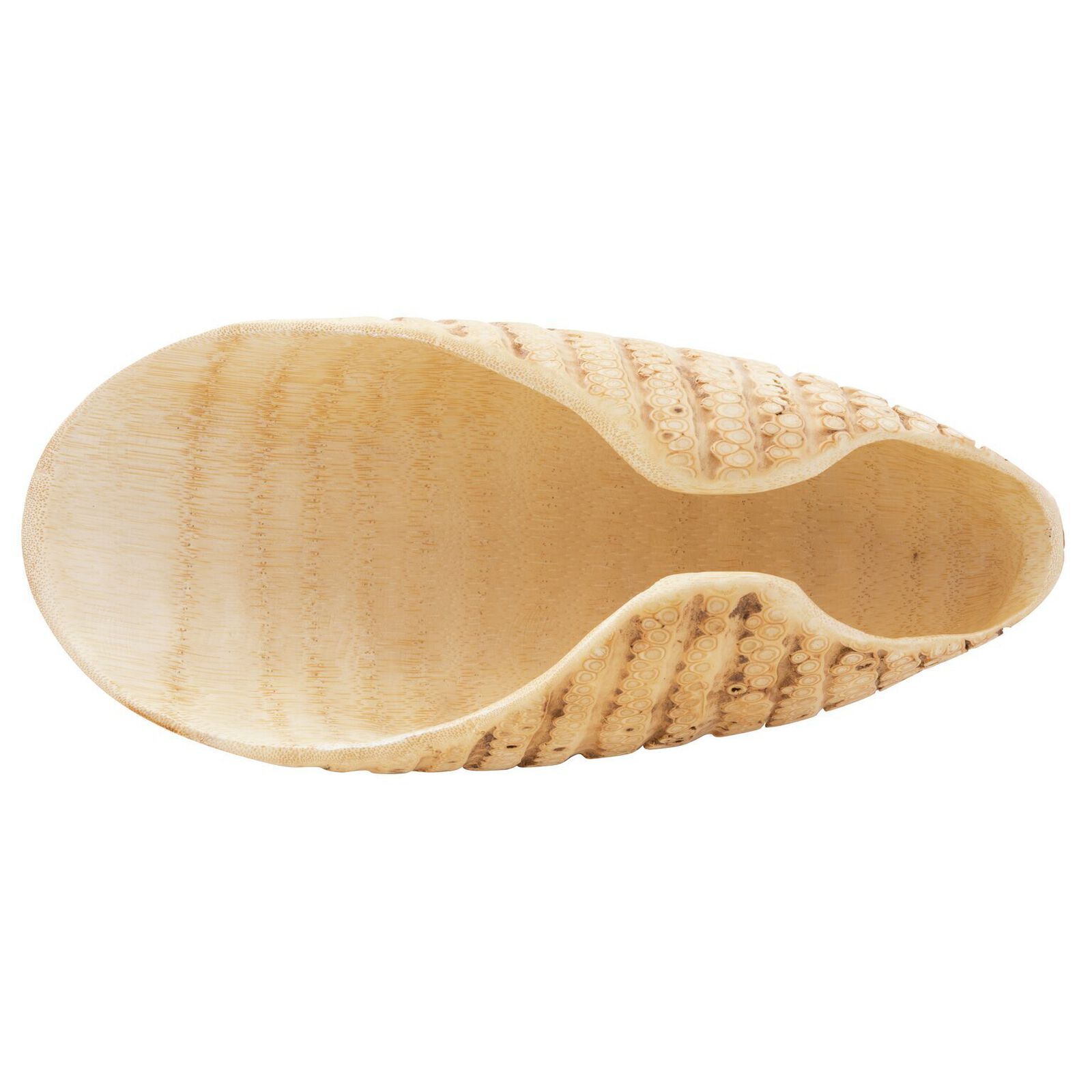 Showplate for sushi image number null