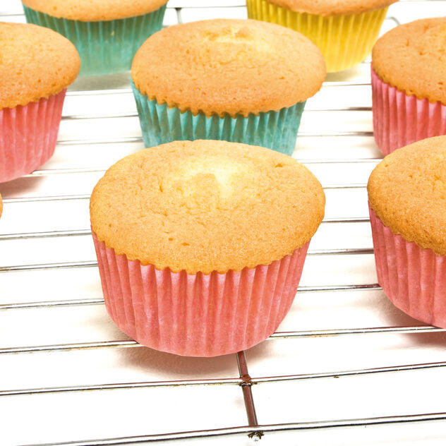 Wire grid  image number 1