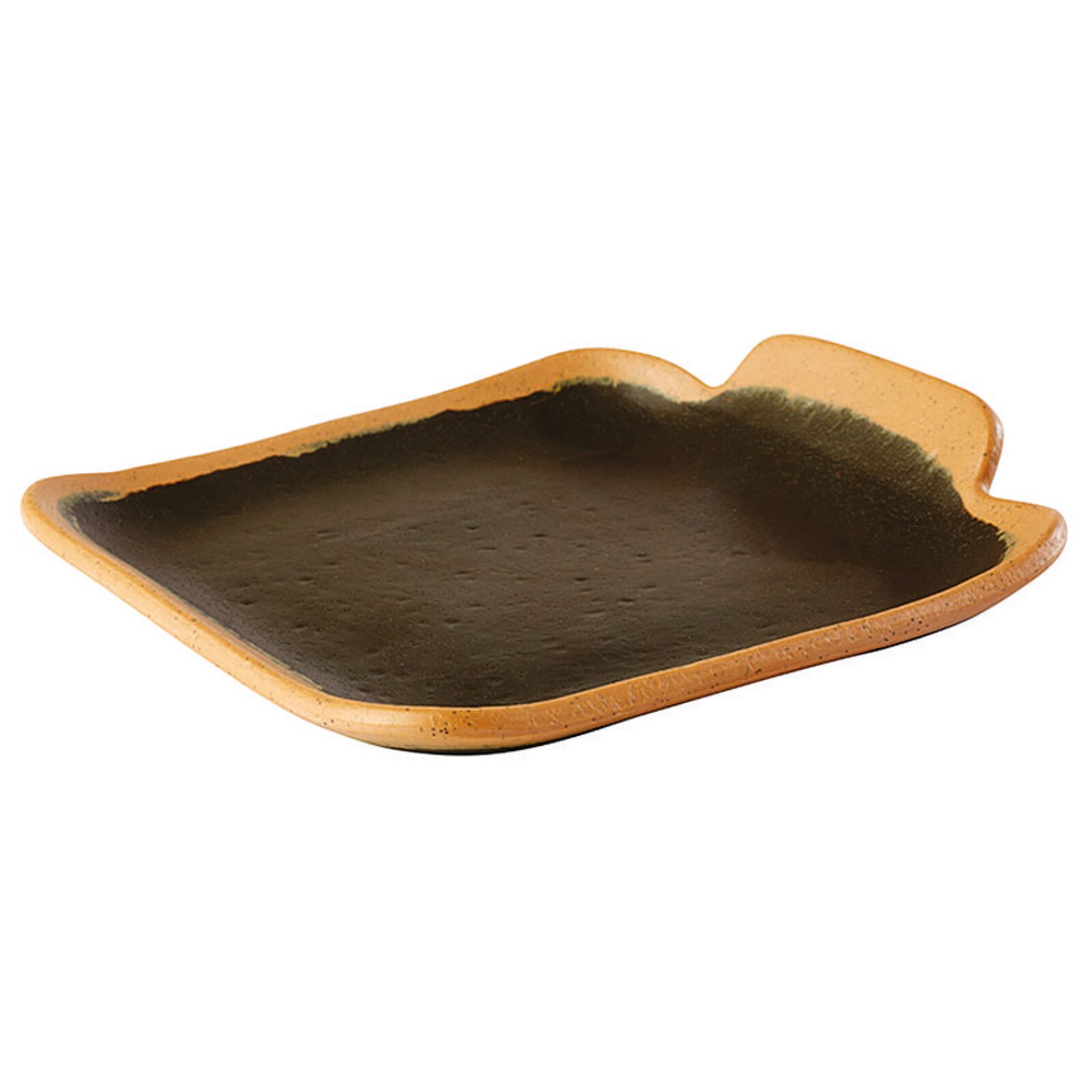 Dish  image number null