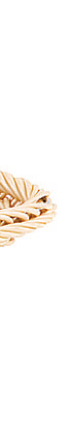 Bread basket 3