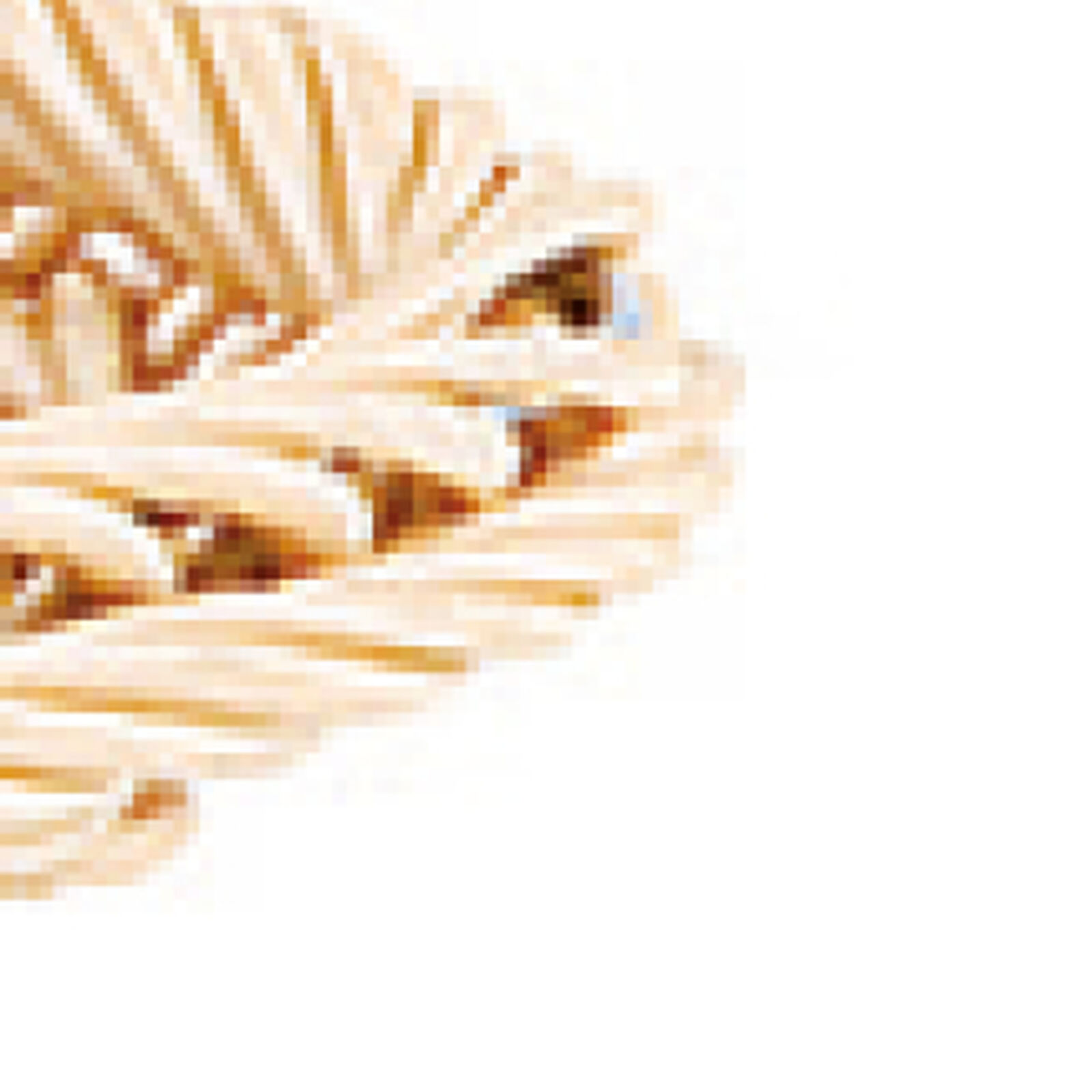 Cesto Pane  image number null