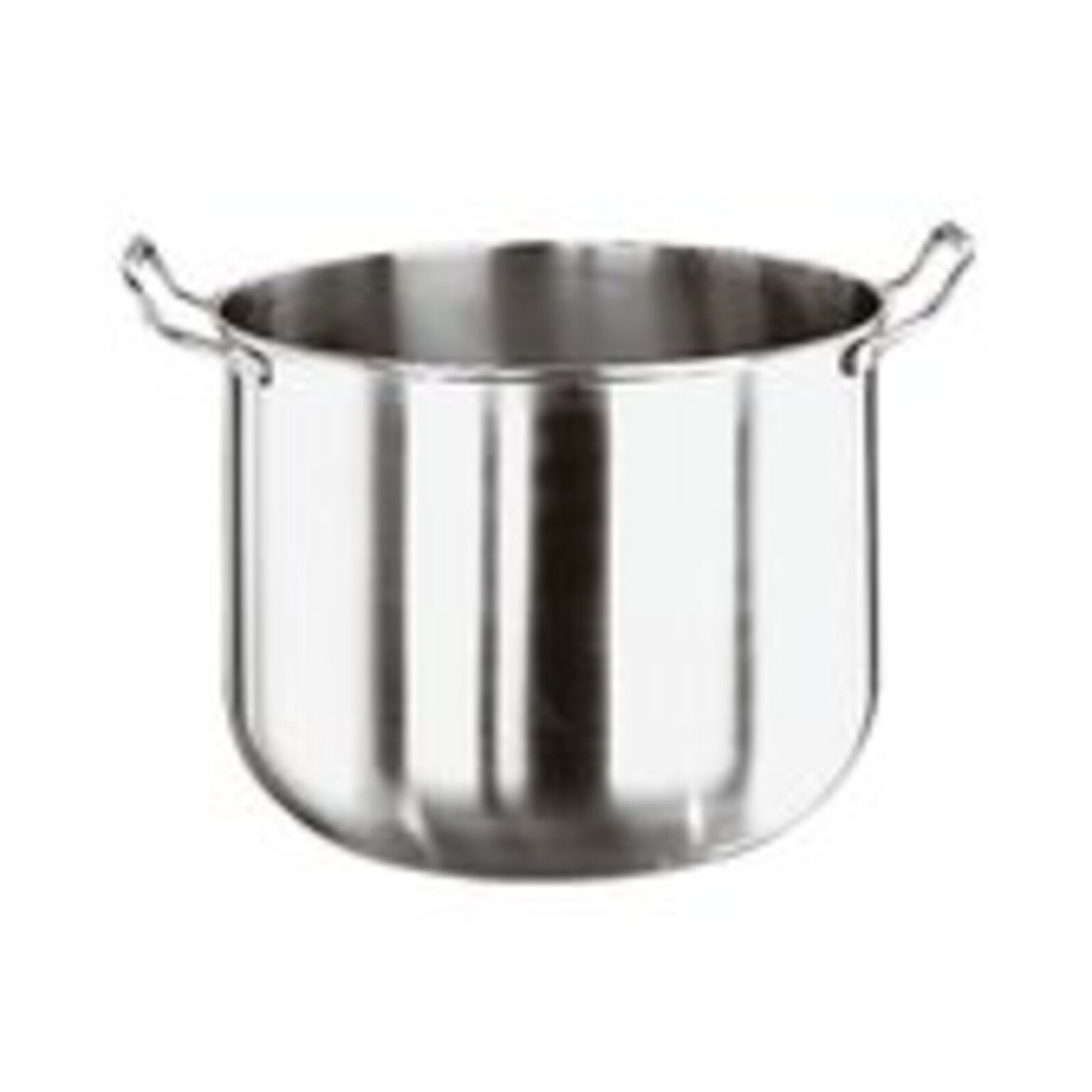 Bacinella planetaria  image number null