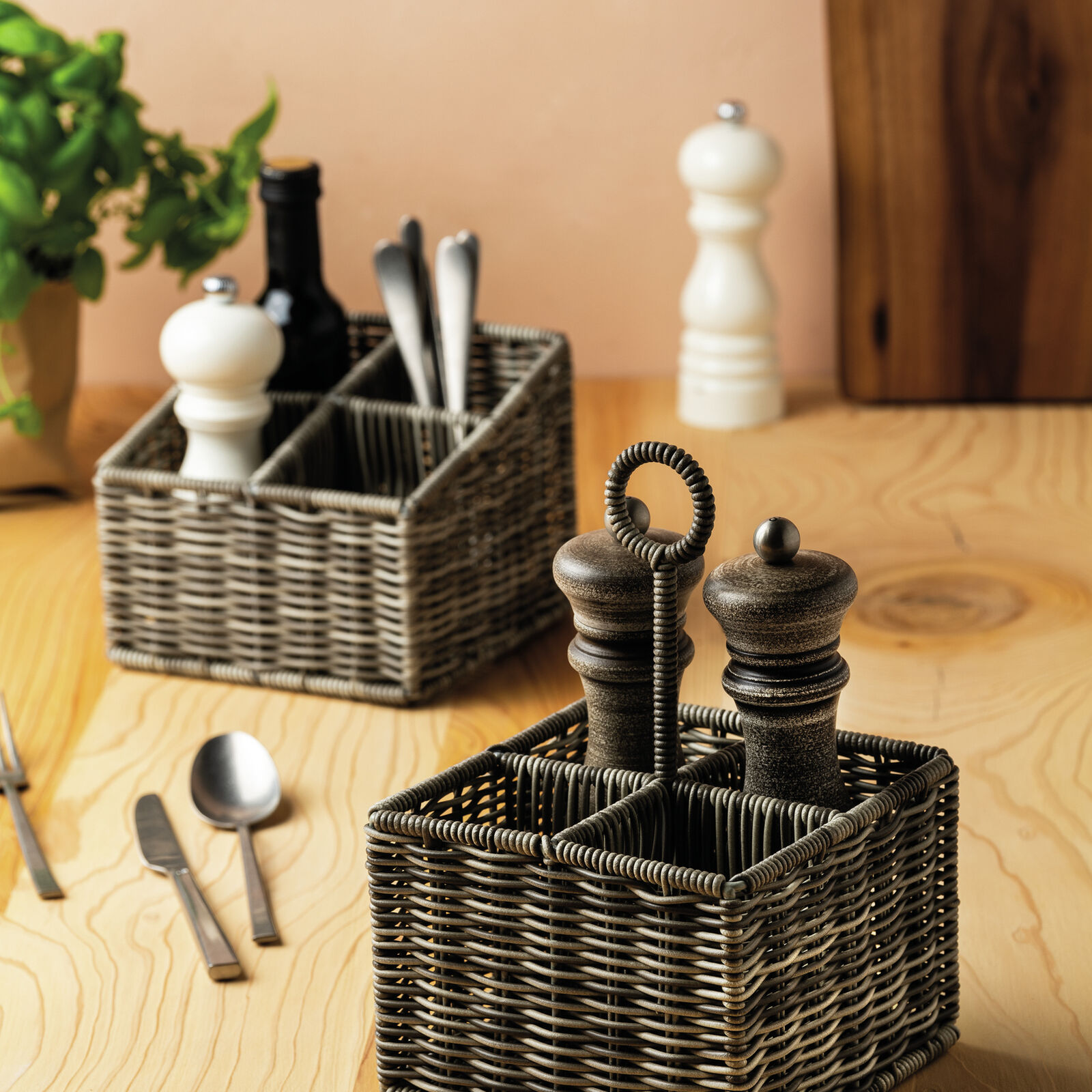 Container for condiments, 4 compartments image number null