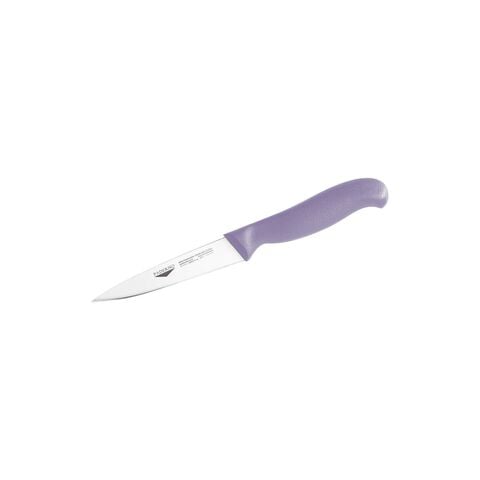 Paring knife 
