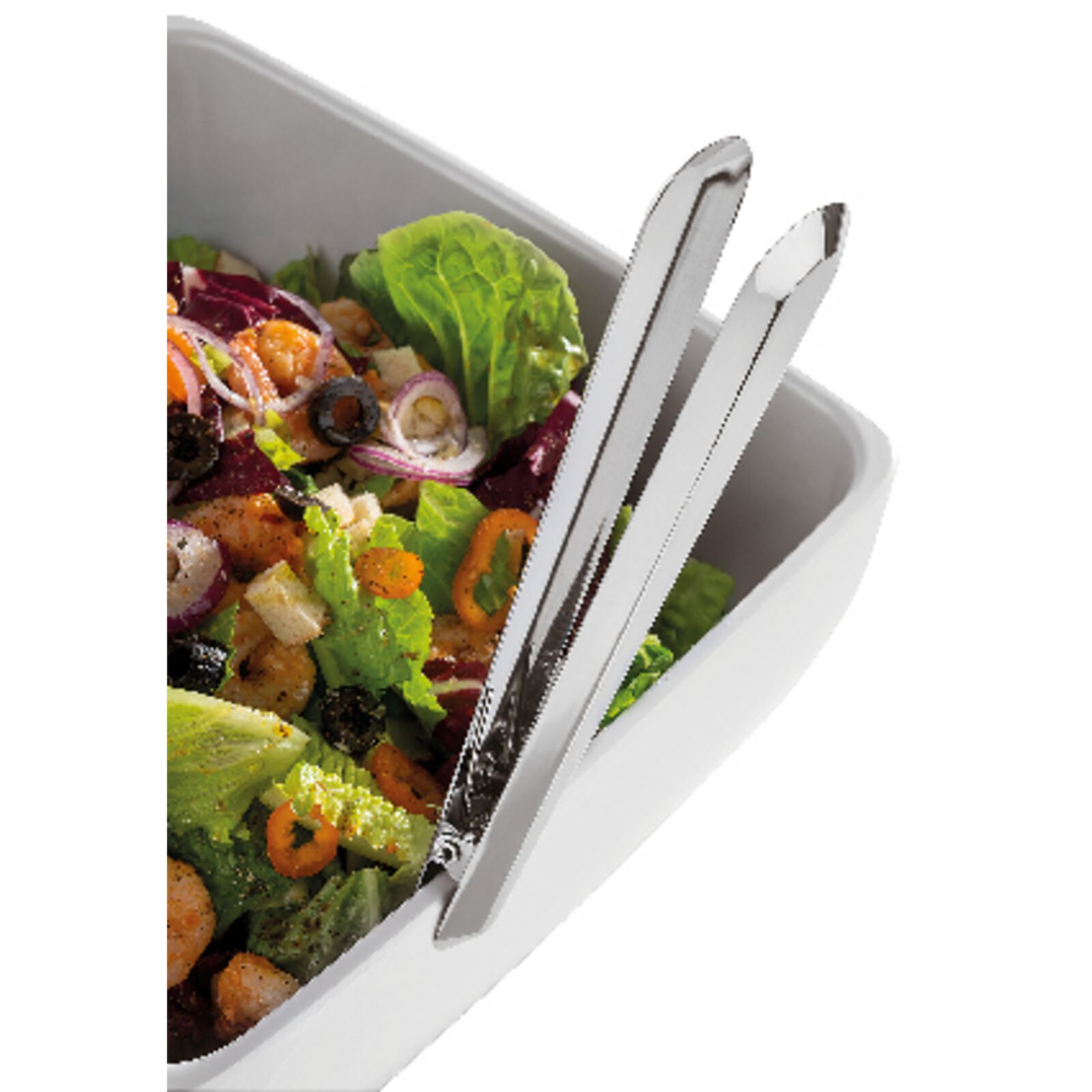 Molle universale image number null