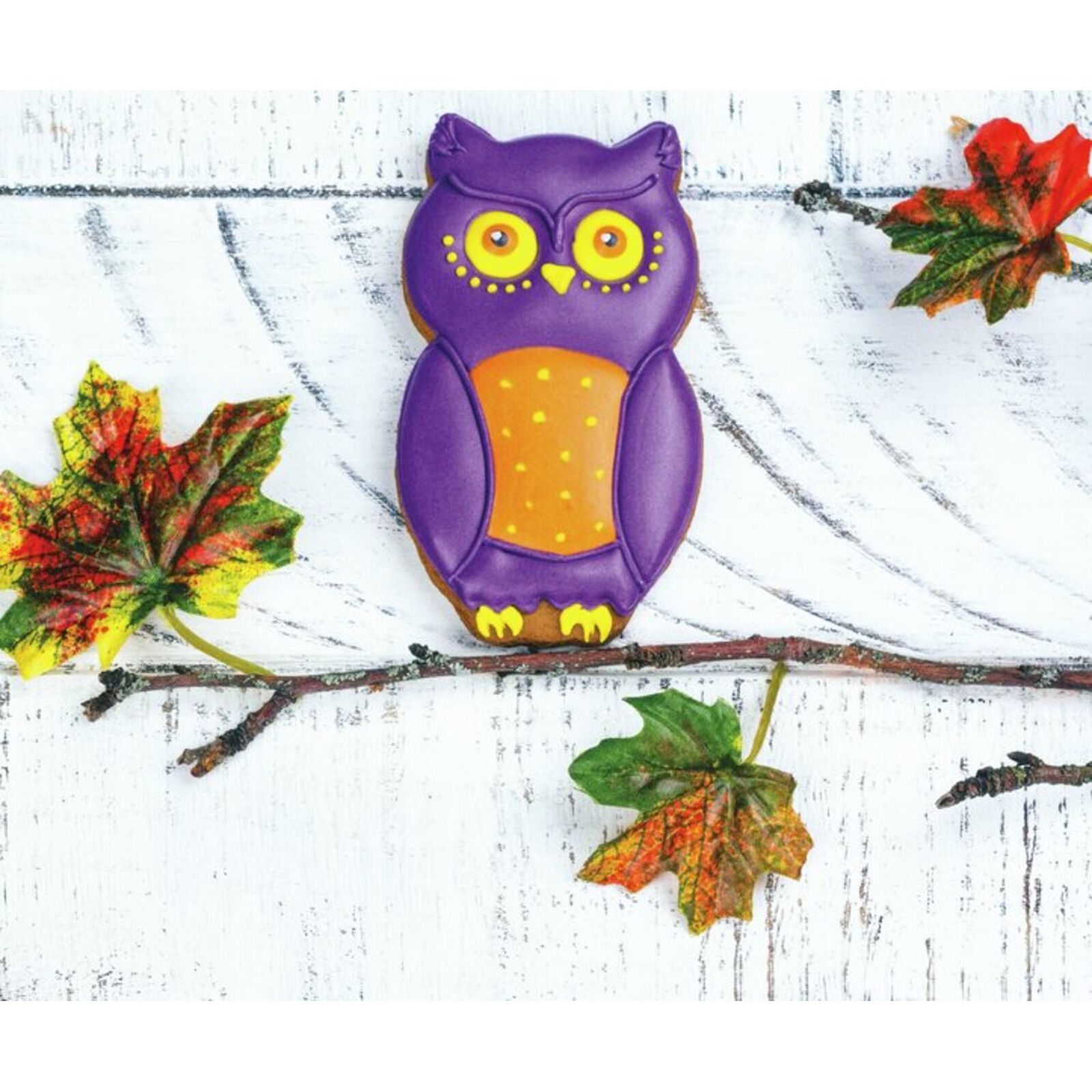 Cutter owl image number null