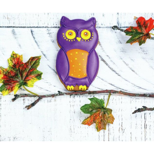 Cutter owl image number 1