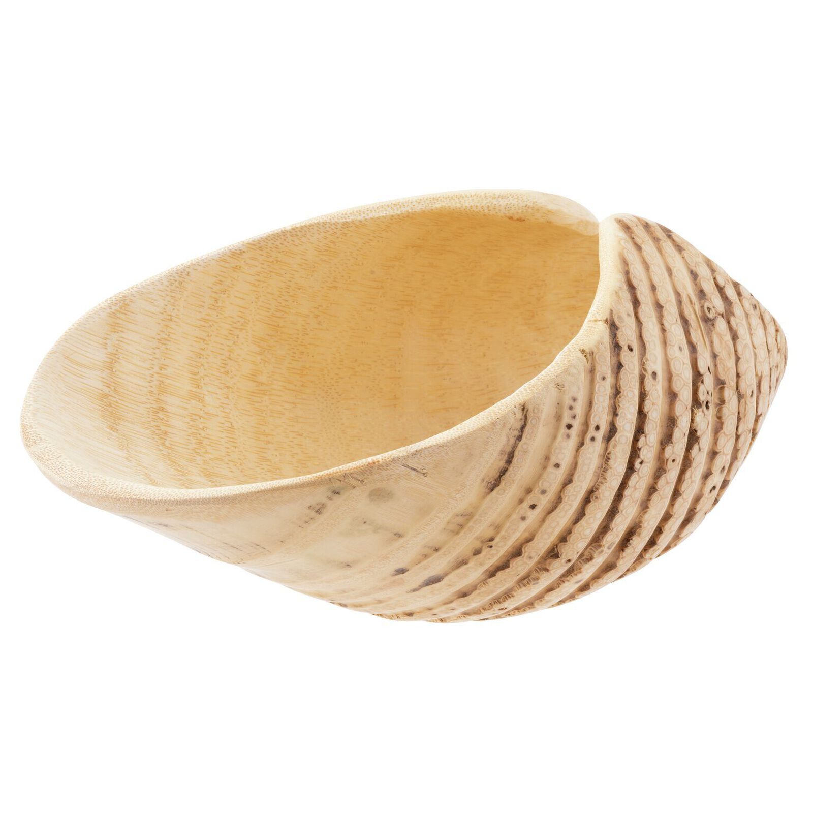 Showplate for sushi image number null