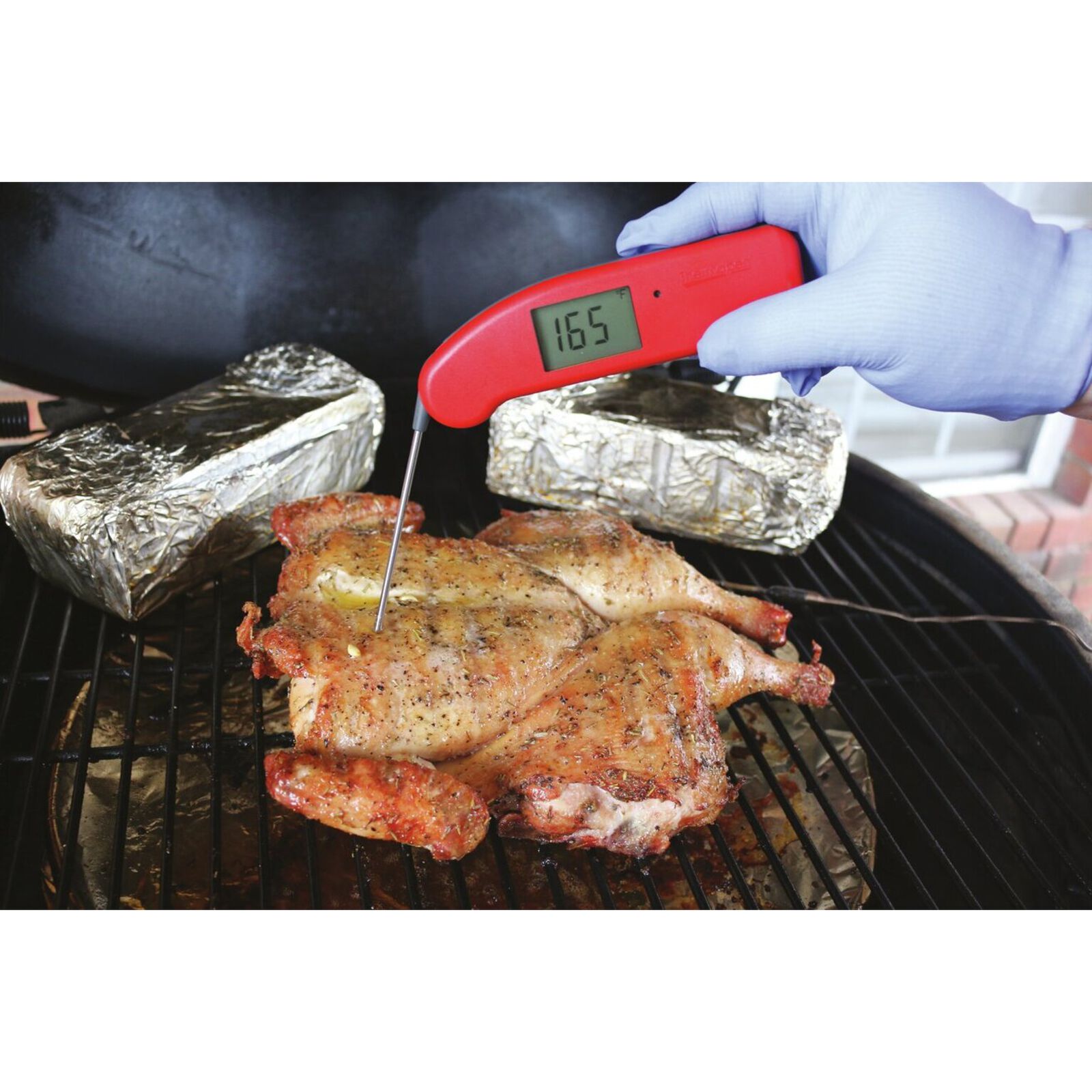 Thermometer digital image number null