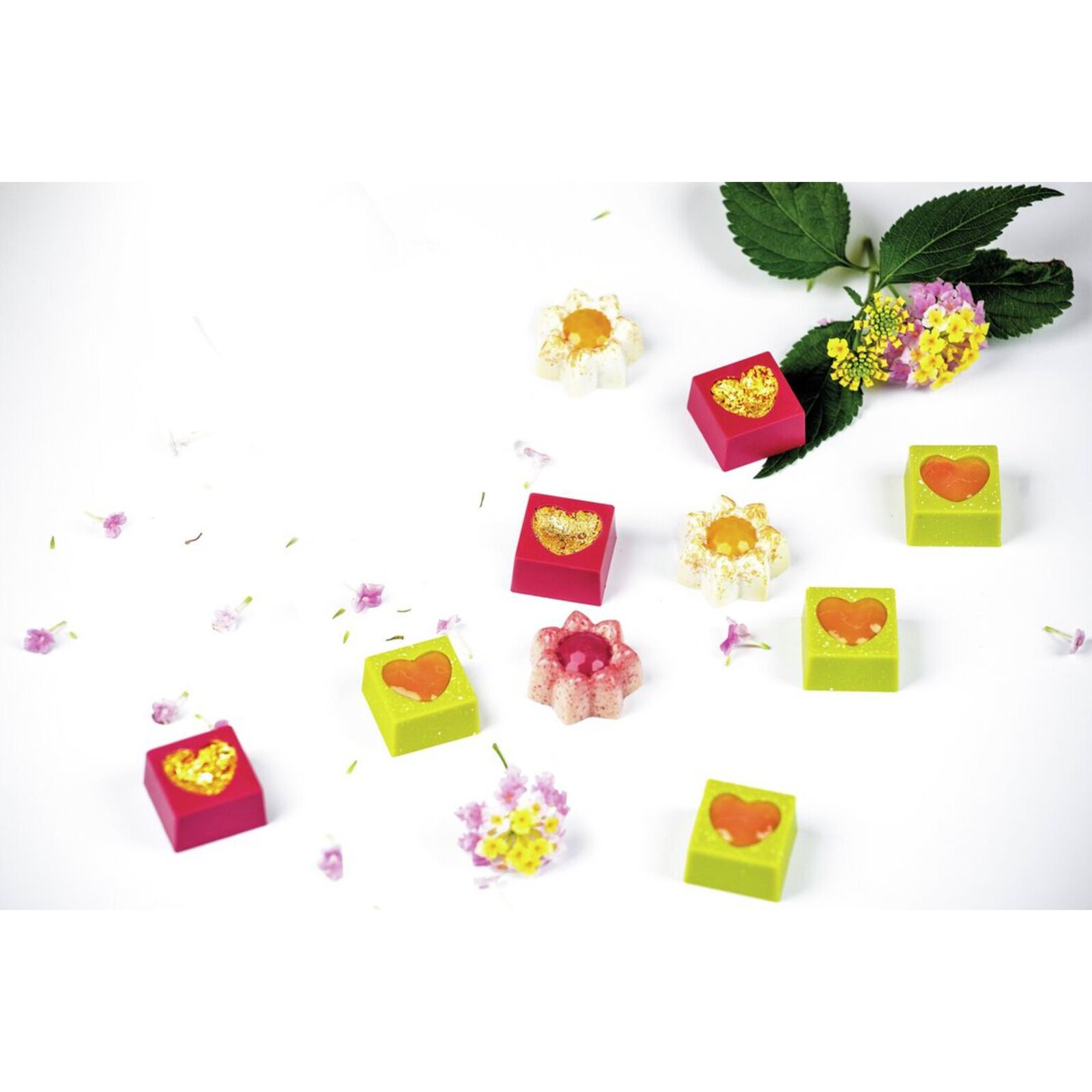 Mold multiple for chocolate pralines image number null