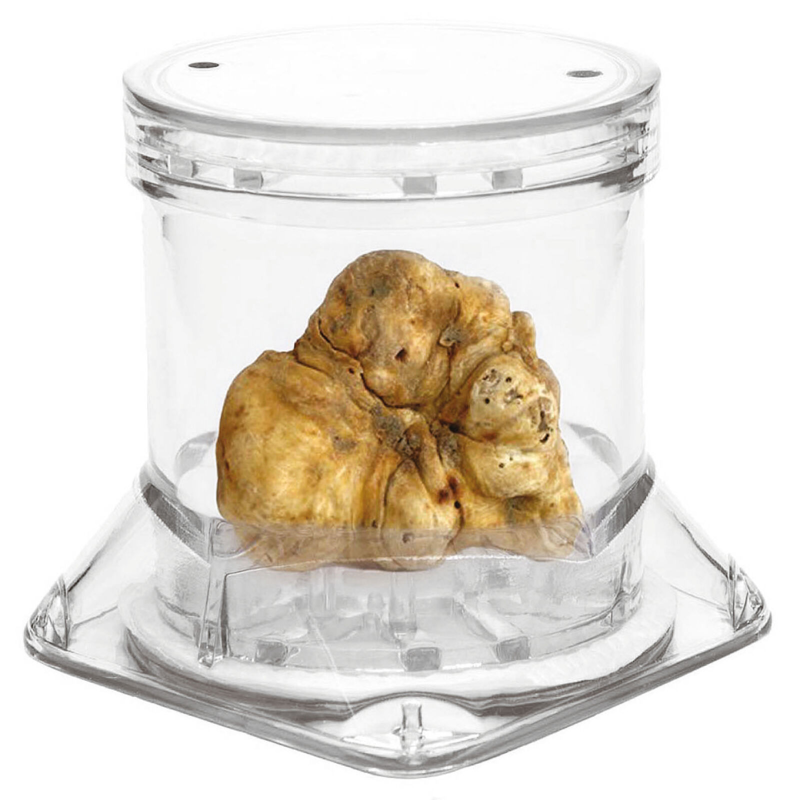 Truffle jar  image number null