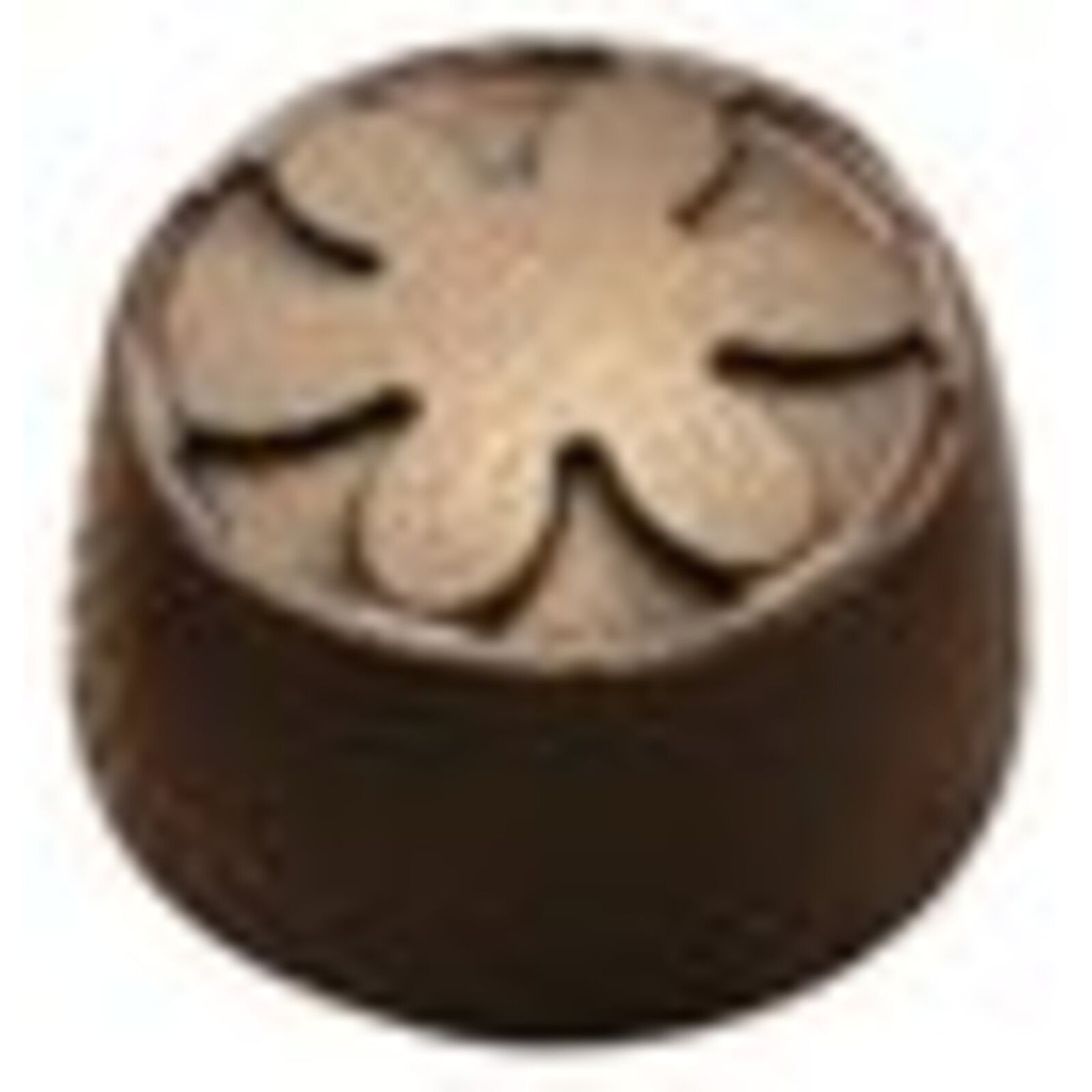 Mold multiple for chocolate pralines image number null