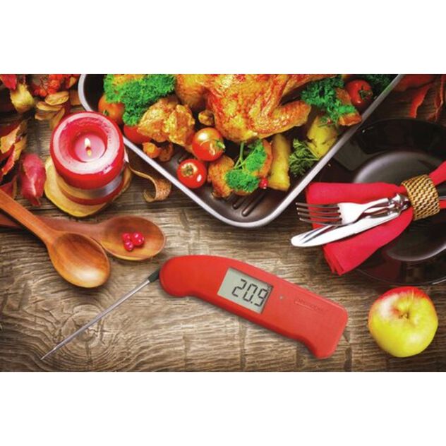 Thermometer digital image number 4