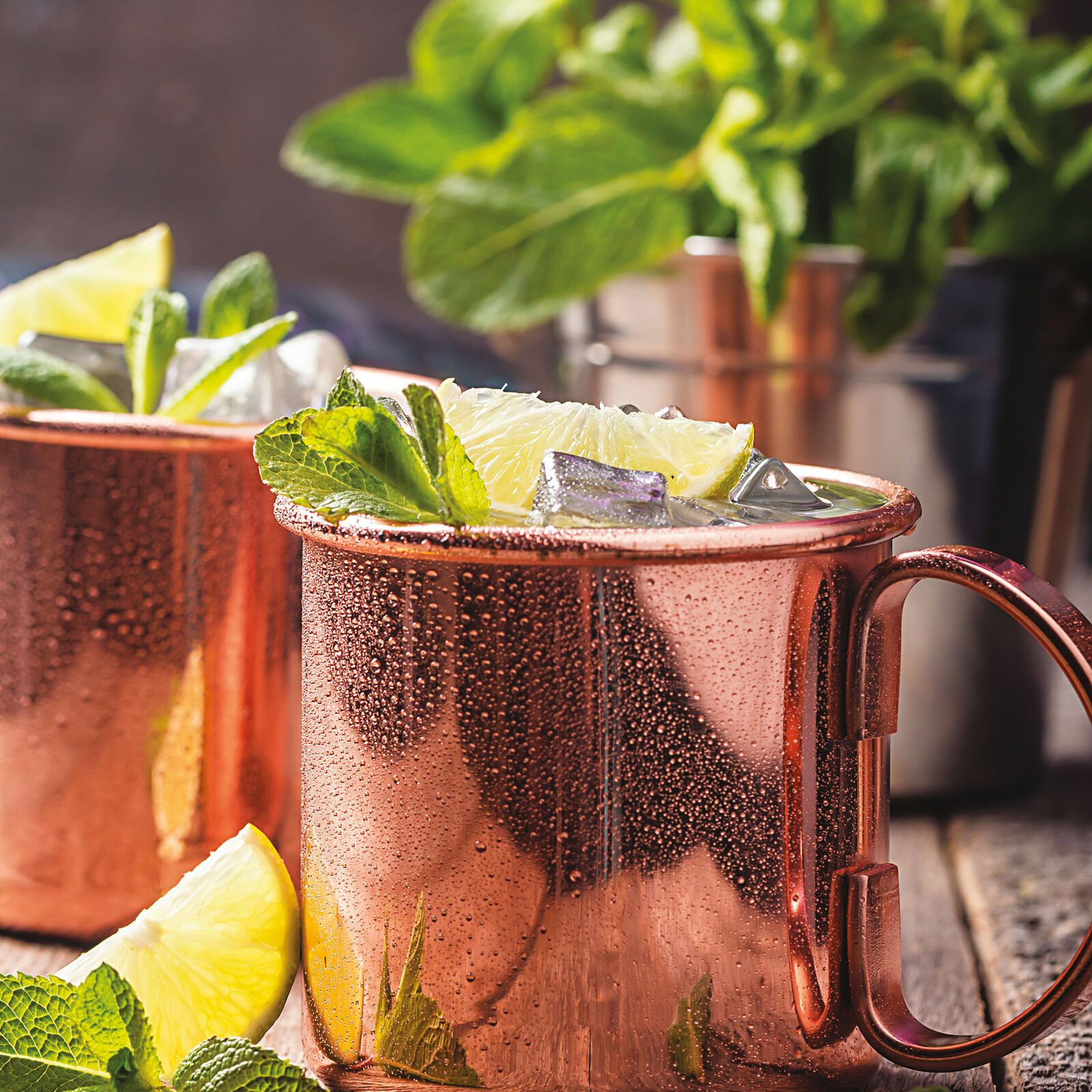 Drinking cup moscow mule image number null