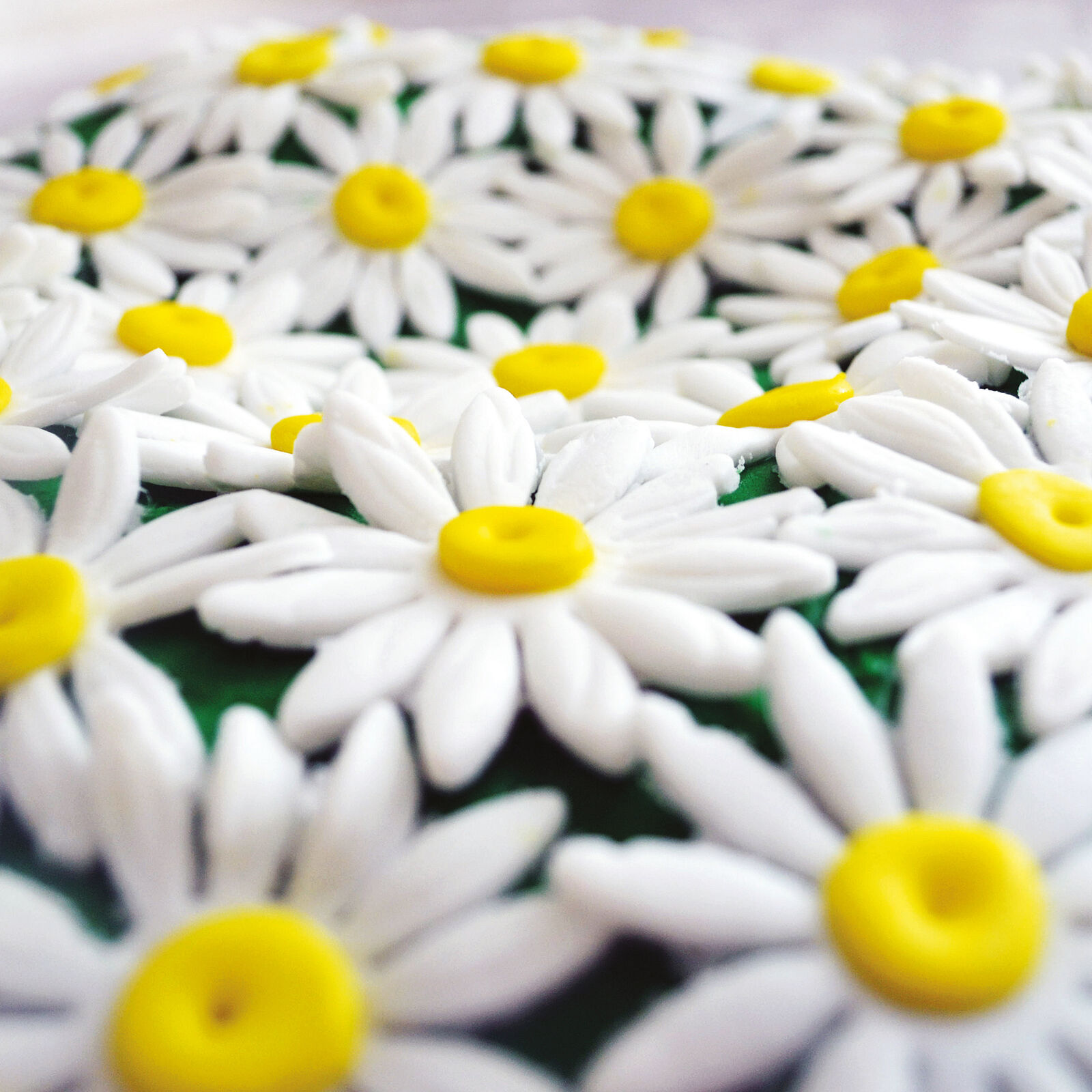 Cutter with extractor, daisy image number null