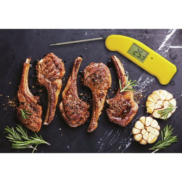 Thermometer digital image number 3