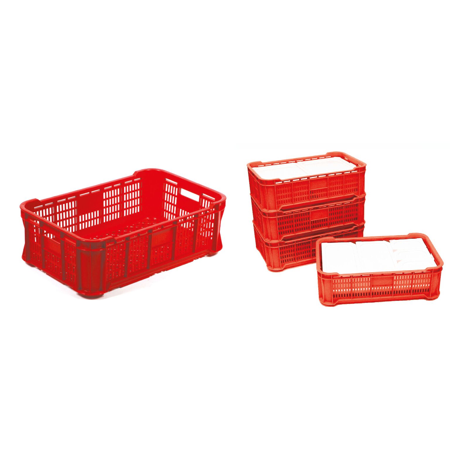Basket gastronorm