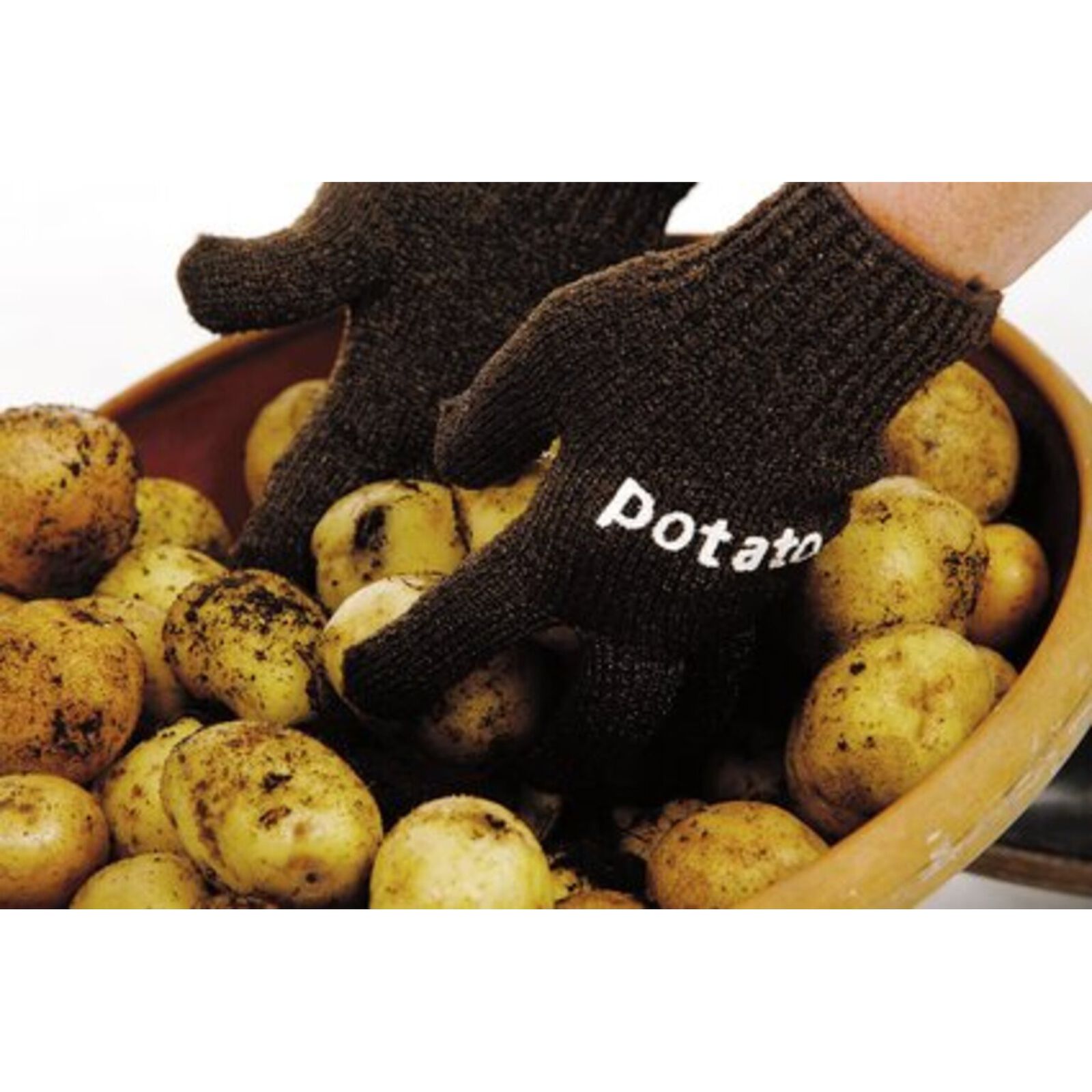 Guanti scrub image number null