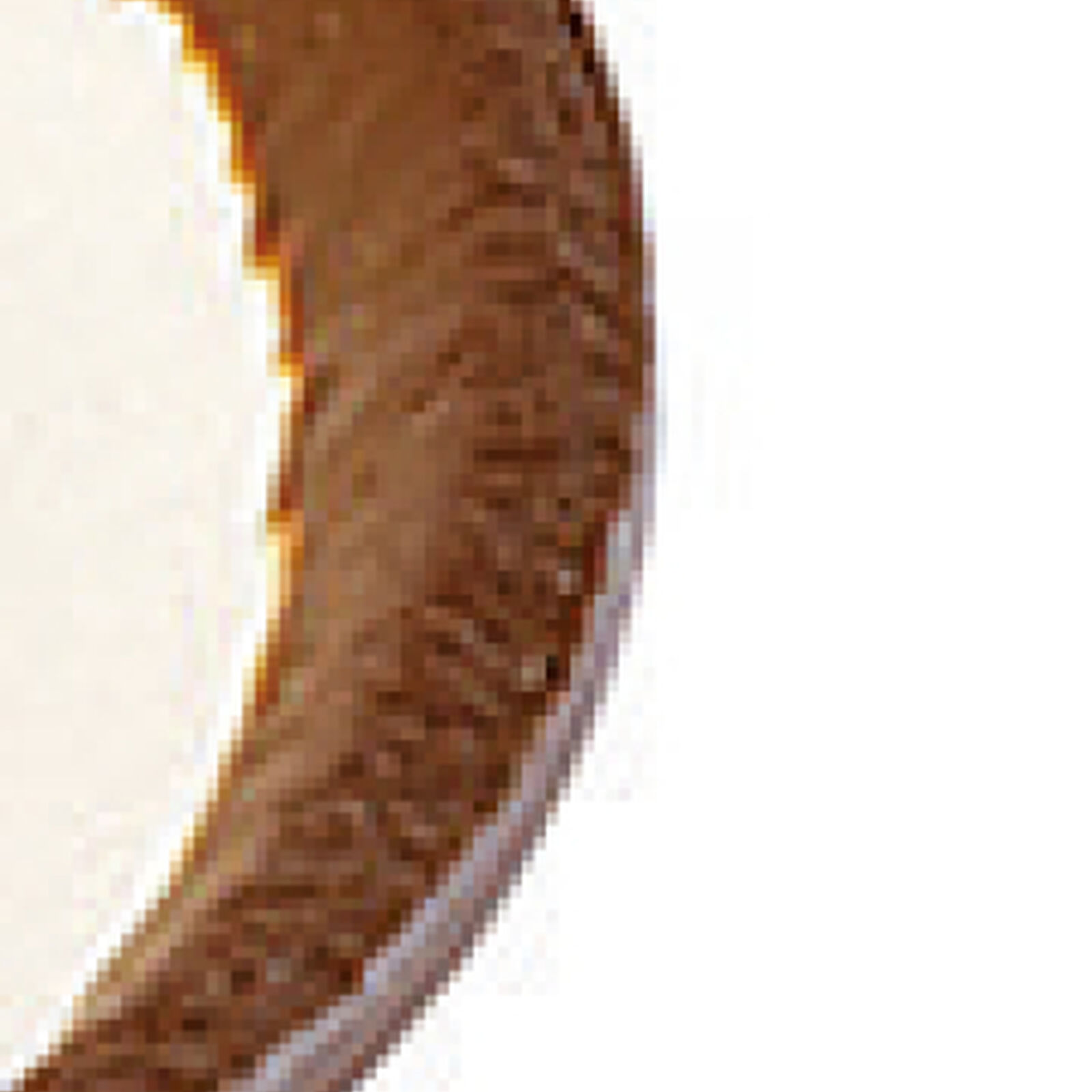 Dish  image number null