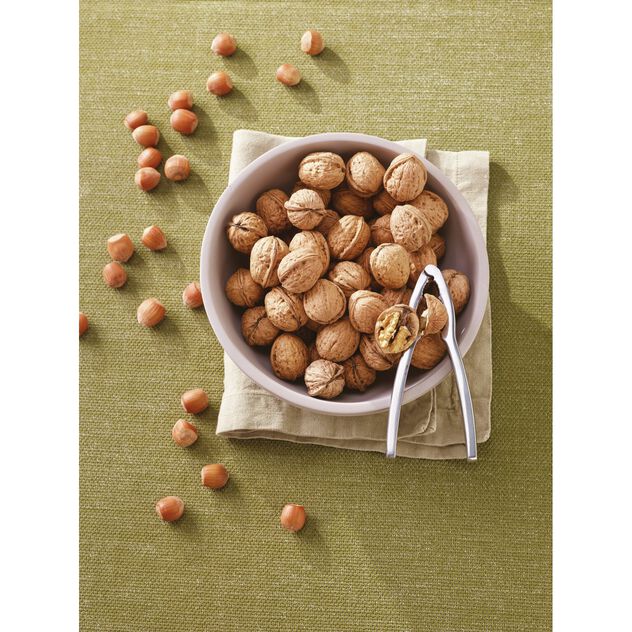 Nut cracker  image number 1