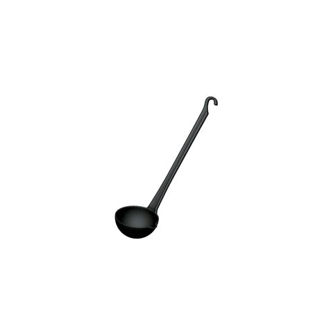 Ladle with spout