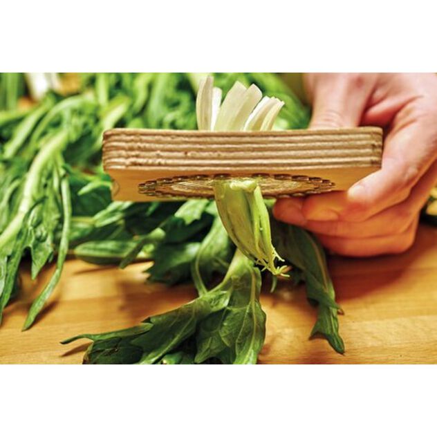 Cutter/corer for chicory image number 1