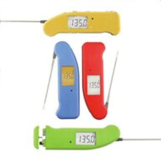 Thermometer digital image number 4