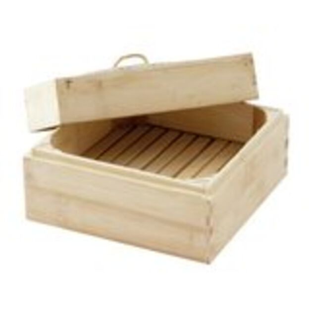 Steamer  image number 0