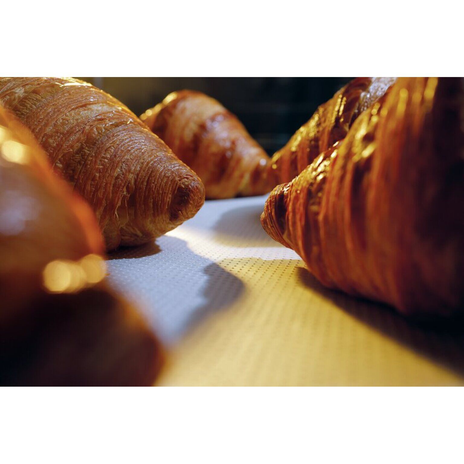 Baking paper microperforated 5