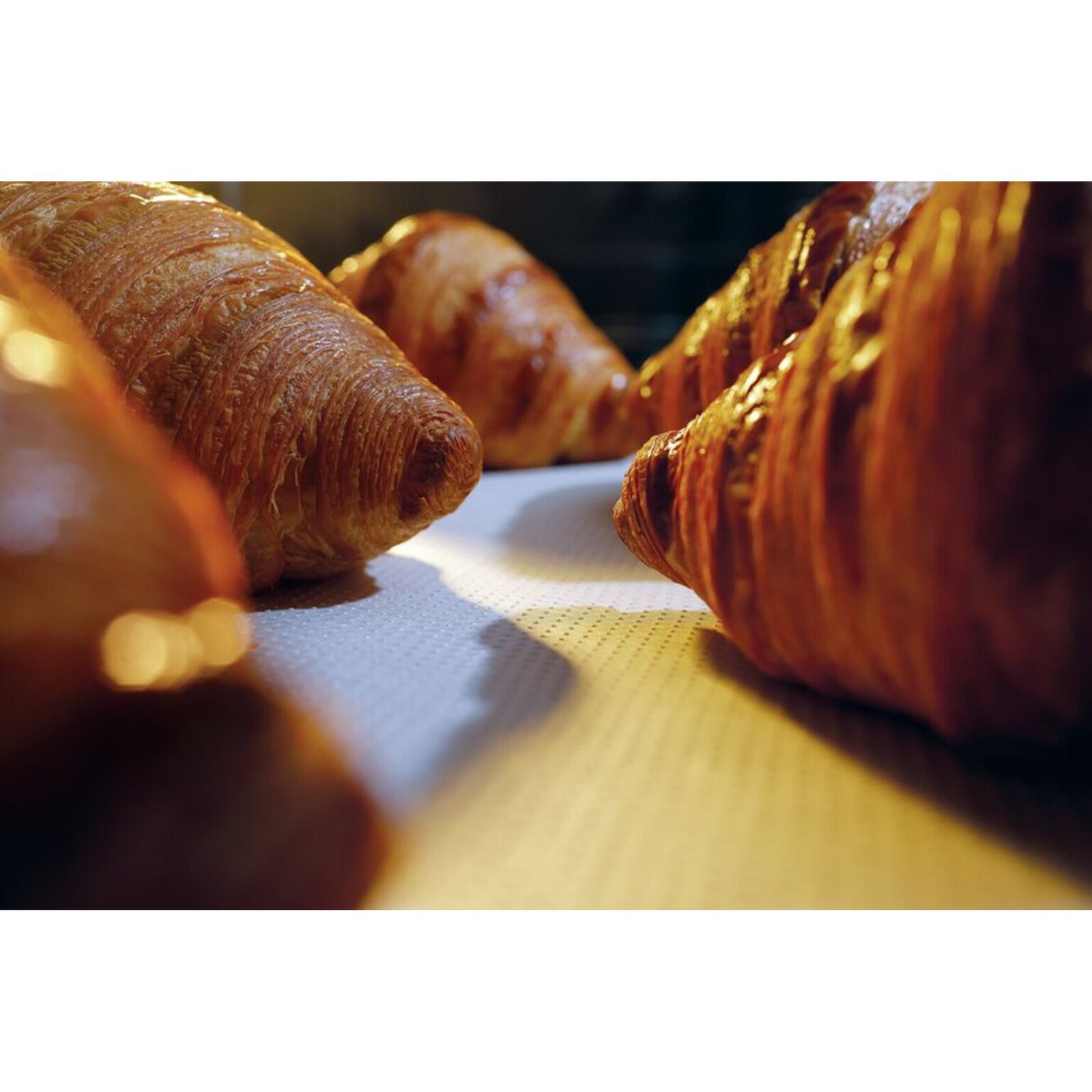 Carta da forno microforato image number null