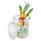 Jar with lid